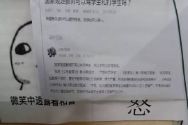 嘉禾要账公司更多成功案例详情